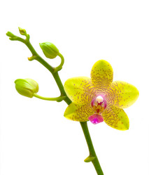 Similar image 1106878