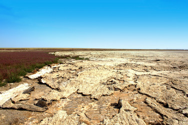 Similar image 1106888