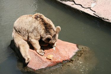 Similar image 1106900