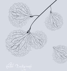 Similar image 1106945