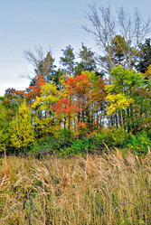 Similar image 1106994