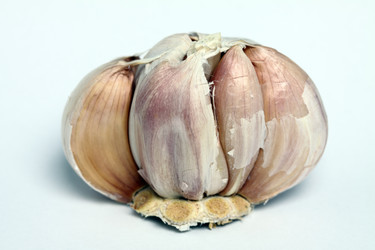 Similar image 1106997