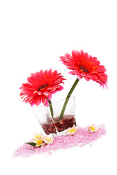 Similar image 1107011