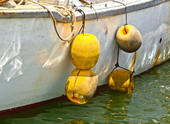 Similar image 1107052