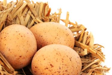 Similar image 1107082