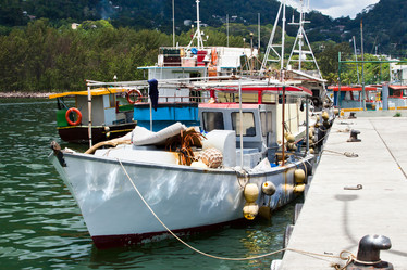 Similar image 1107099