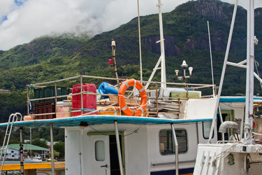 Similar image 1107101