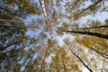 Similar image 1107258