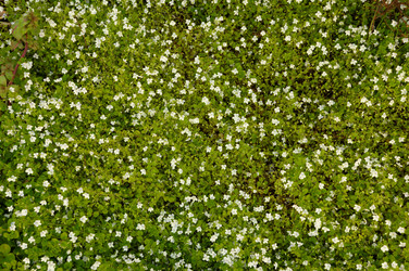 Similar image 1107261