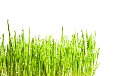 Similar image 1107264