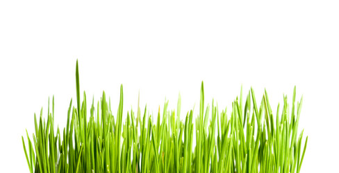 Similar image 1107265