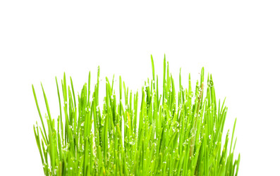 Similar image 1107267