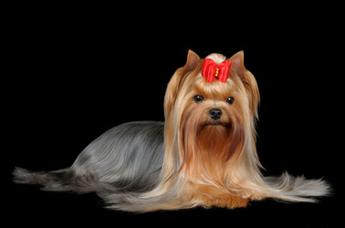 Similar image 1107285