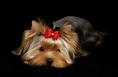 Similar image 1107290