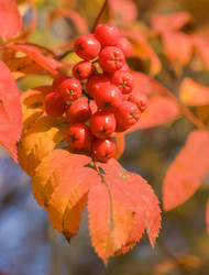 Similar image 1107296