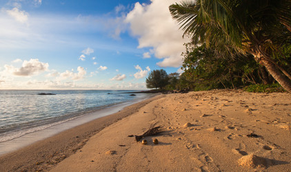 Similar image 1107309