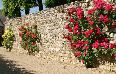 Similar image 1107362