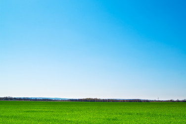 Similar image 1107366