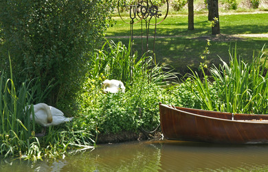 Similar image 1107375