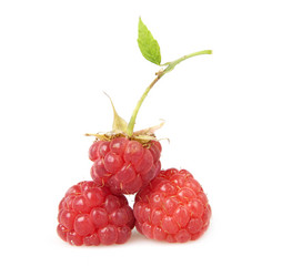 Similar image 1107377