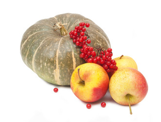 Similar image 1107388