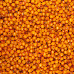 Similar image 1107390