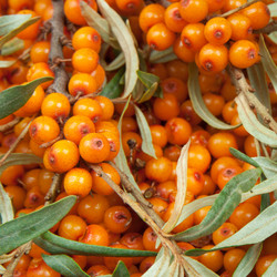 Similar image 1107391