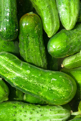 Similar image 1107392