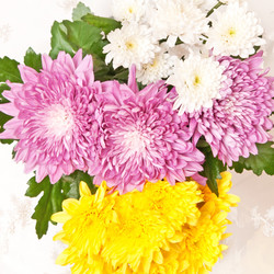 Similar image 1107398