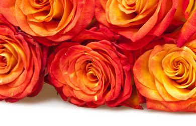 Similar image 1107400