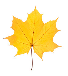 Similar image 1107403