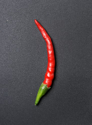 Similar image 1107412