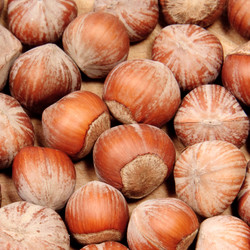 Similar image 1107421