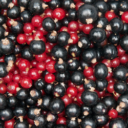 Similar image 1107437