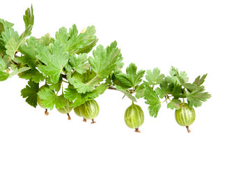 Similar image 1107439