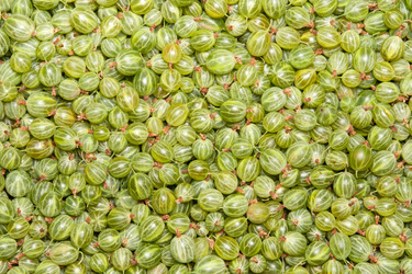 Similar image 1107440