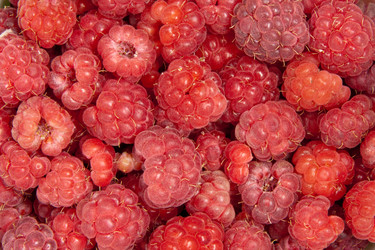 Similar image 1107442