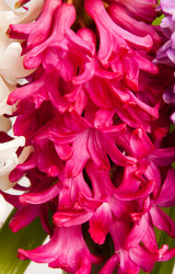 Similar image 1107443