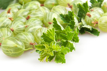 Similar image 1107447