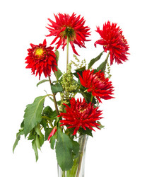 Similar image 1107449