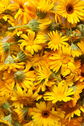 Similar image 1107450