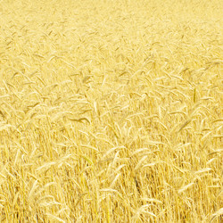 Similar image 1107453