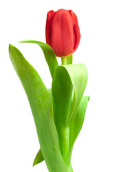 Similar image 1107457