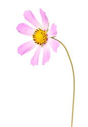 Similar image 1107458