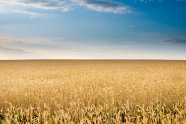 Similar image 1107464