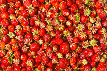 Similar image 1107466