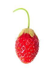 Similar image 1107468