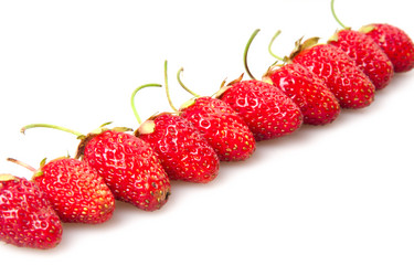 Similar image 1107469