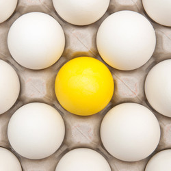 Similar image 1107470