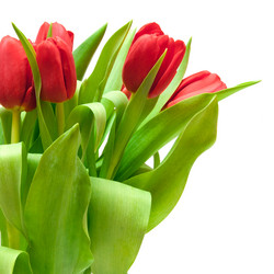 Similar image 1107472